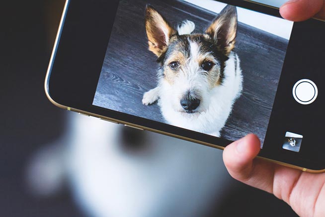 photos,android,smartphones