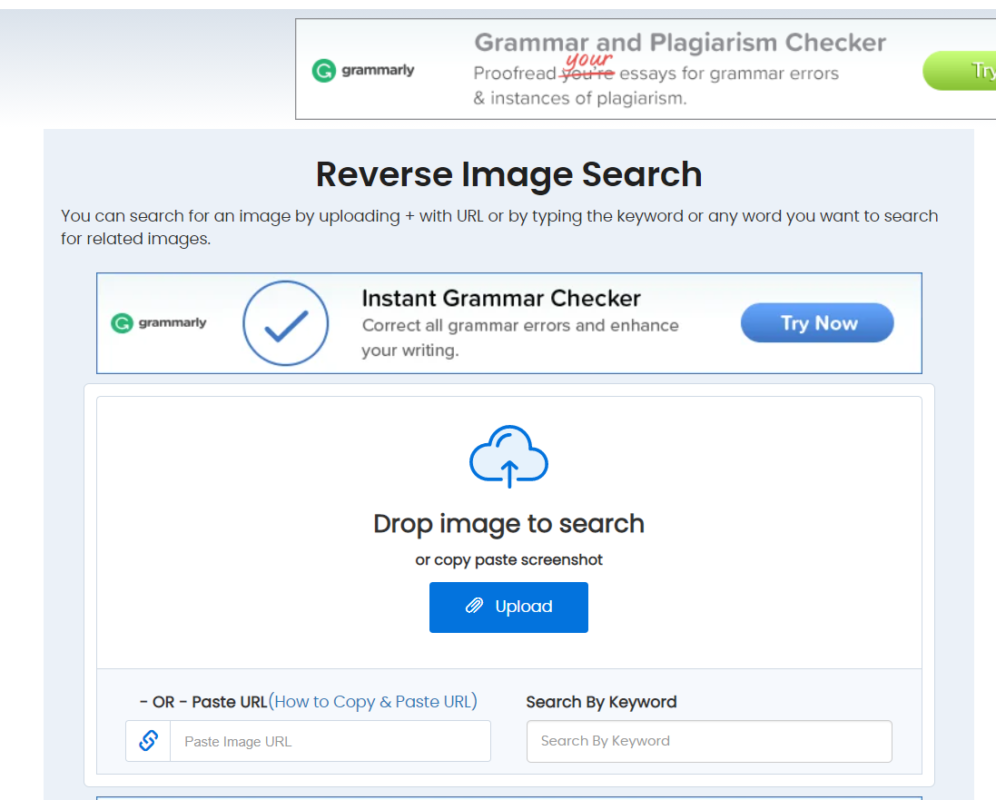 Recherche par image,recherche par image google,google image recherche par photo,recherche par image iphone