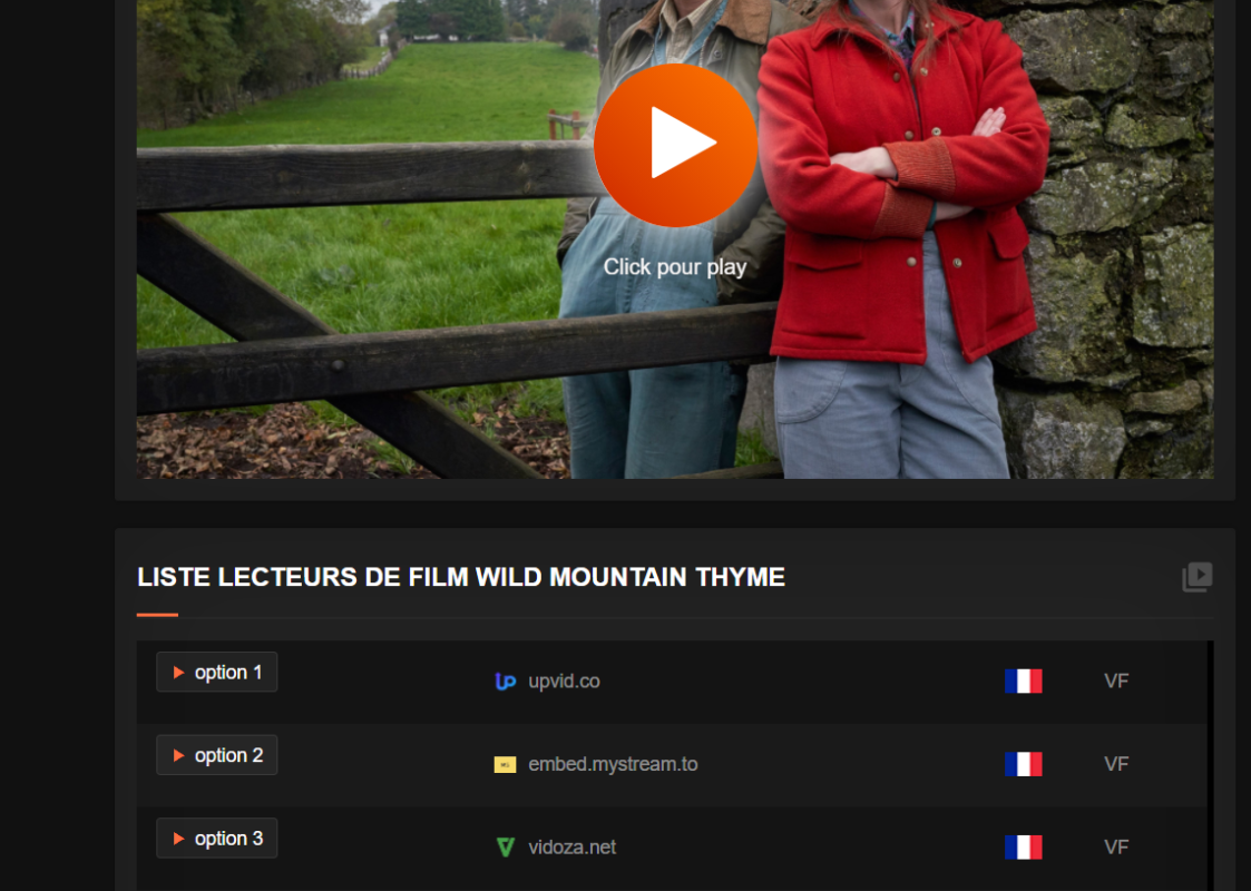lecteur optionnel du site filmvf.in