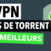 vpn torrent telecharger