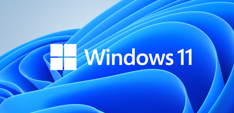 windows 11 windows 11
