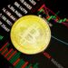 levée de fonds bitcoin