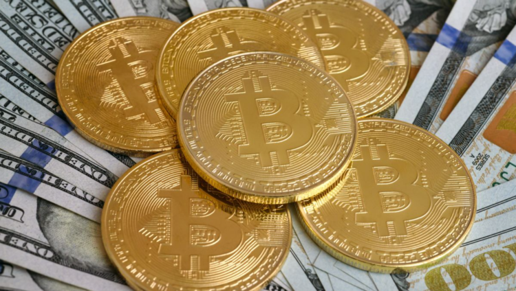 primo adoptant bitcoin